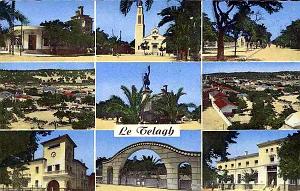 TELAGH 605